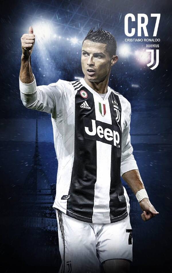 母哥的统治 母哥的统治